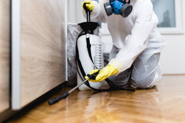 Best Affordable Pest Control Services  in Danville, KY