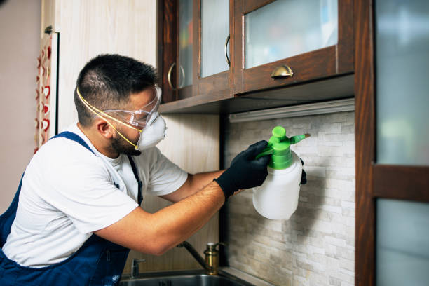 Wasp Removal Services in Danville, KY