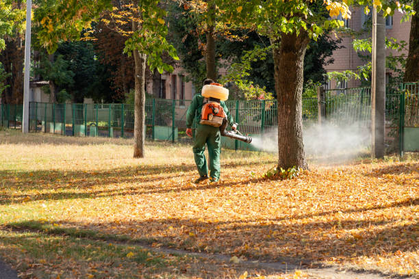 Best Spider Control Near Me  in Danville, KY