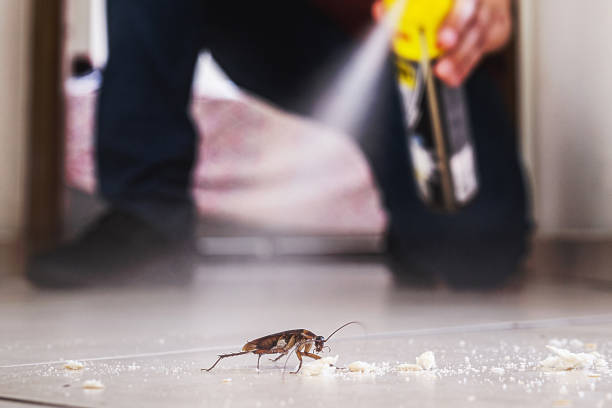 Best Bed Bug Extermination  in Danville, KY